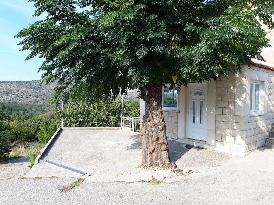 Apartment Harmony - With Free Parking Doli Exterior foto